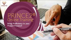 Vinsys training . photo 6