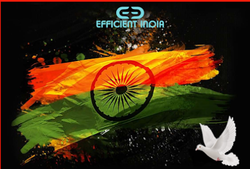 Efficient INDIA - Web Designing and Development Company in Delhi Efficient INDIA photo 3