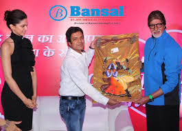 BANSAL LEARNING PRIVATE LIMITED pictures photo 1