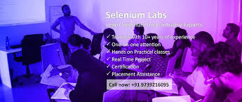 Selenium Labs Selenium Labs photo 3