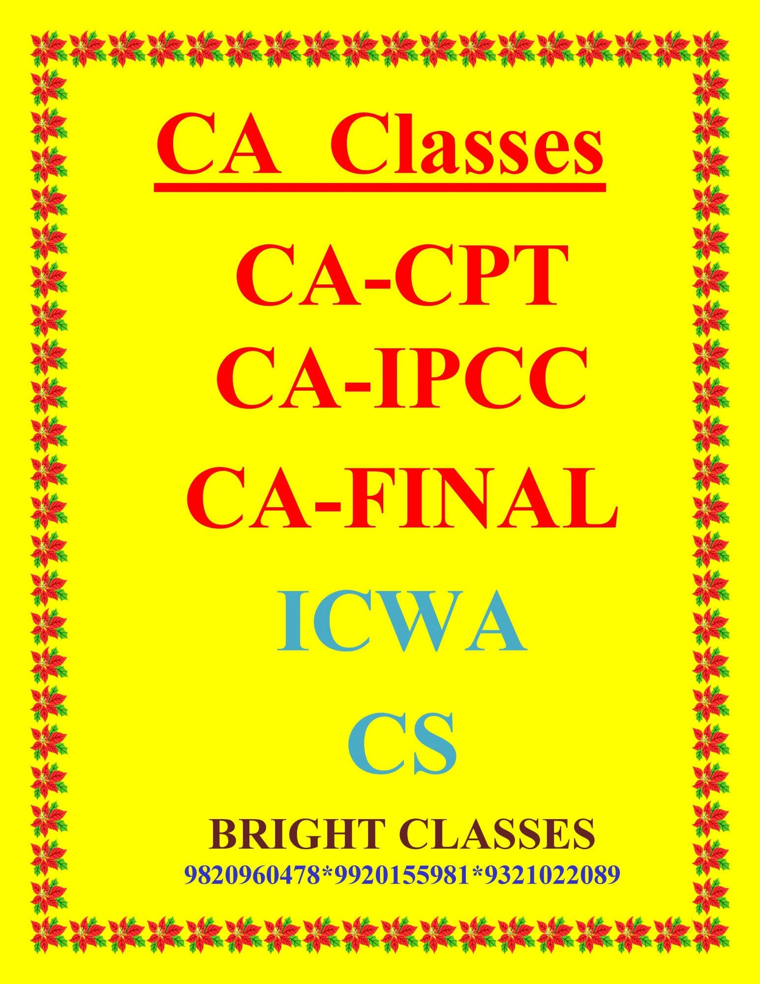 Bright Classes Bright Classes photo 3