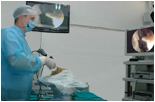 Neurosurgery Education and Training School Neurosurgery Education and Training School photo 1