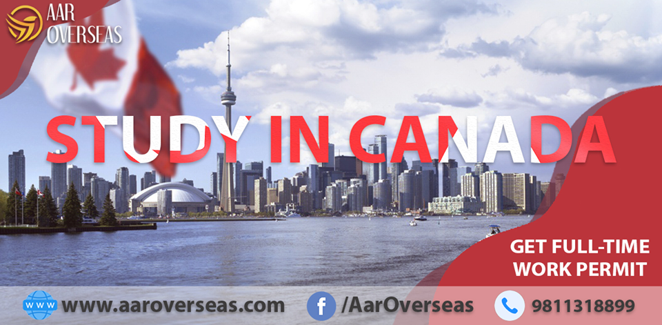 Aar Overseas Aar Overseas photo 2