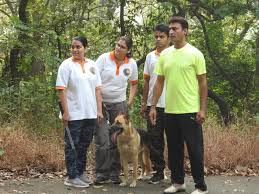 Action Dogs Services Pvt. Ltd. Action Dogs Services Pvt. Ltd.: Gallery photo 2
