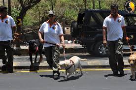 Action Dogs Services Pvt. Ltd. Action Dogs Services Pvt. Ltd.: Gallery photo 3
