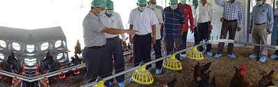 Central Poultry Training Institute Central Poultry Training Institute photo 1