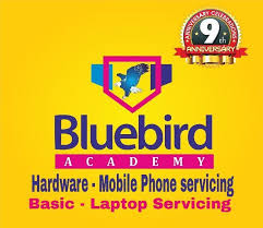 Bluebird academy bluebird academy photo 6