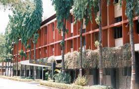 IISM Images photo 6