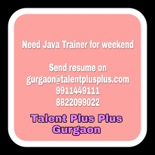 Talent Plus Plus Talent Plus Plus photo 3