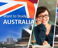 SN GLOBAL EDUCATION SN GLOBAL EDUCATION photo 1