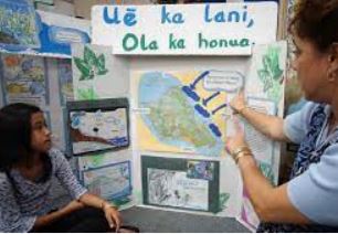 Language Nest Language Nest photo 3