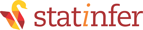 Statinfer Software Solutions LLP Images photo 6