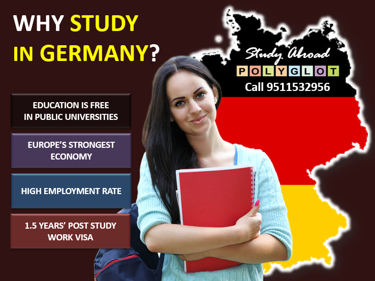 POLYGLOT Gallery: Polyglot photo 2