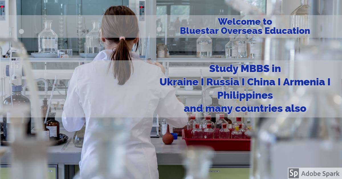 BlueStar Overseas Education Consultants Pvt Ltd. BlueStar Overseas Education Consultants Pvt Ltd.: Gallery photo 4