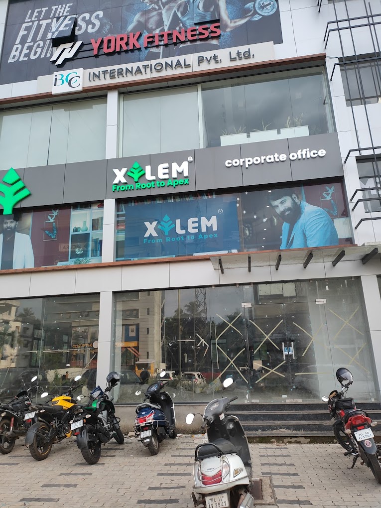 XYLEM LEARNING Xylem Gallery photo 2