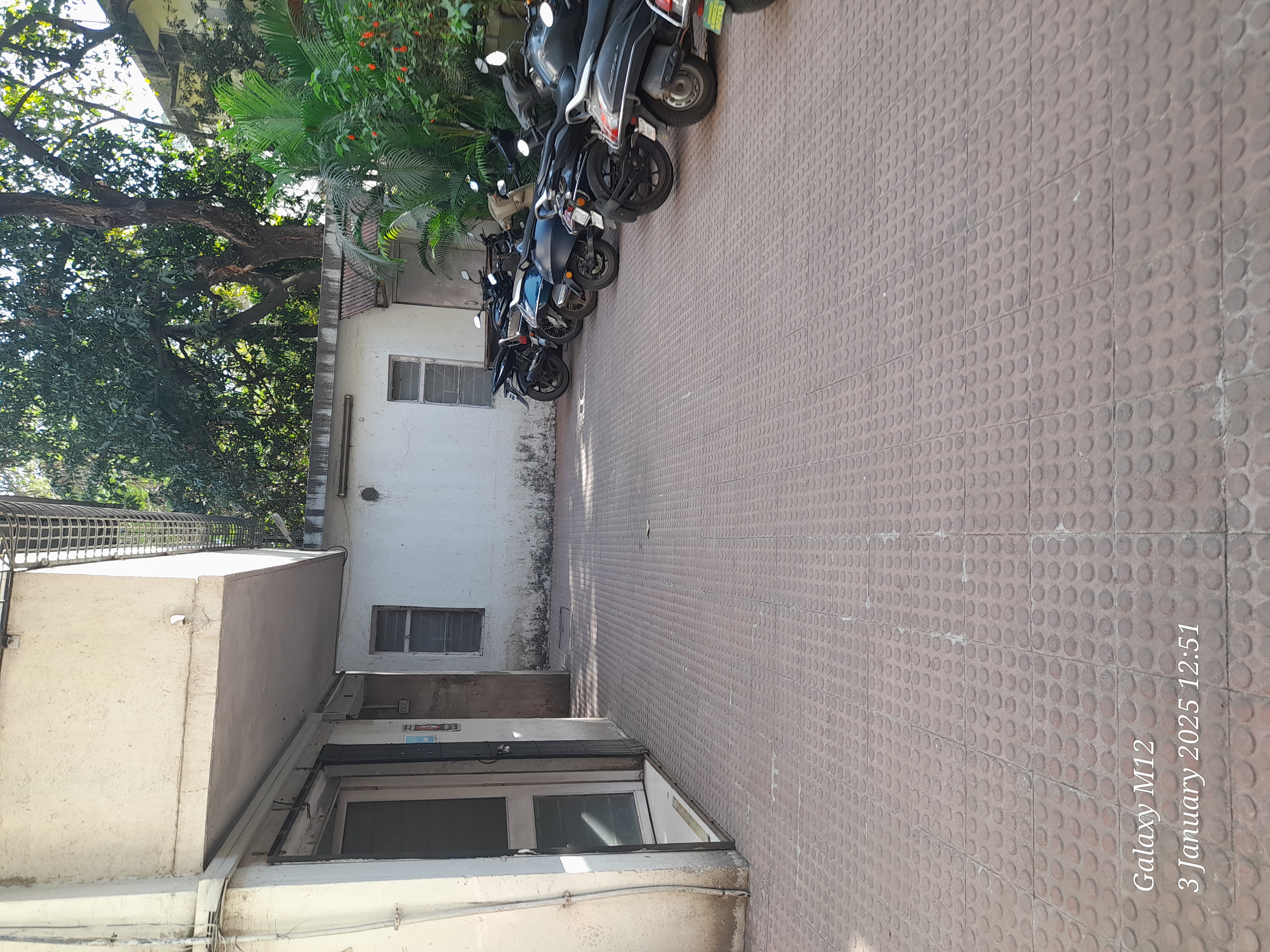 Belingual Institute of Foreign Languages Bilingual Foreign Language photo 4