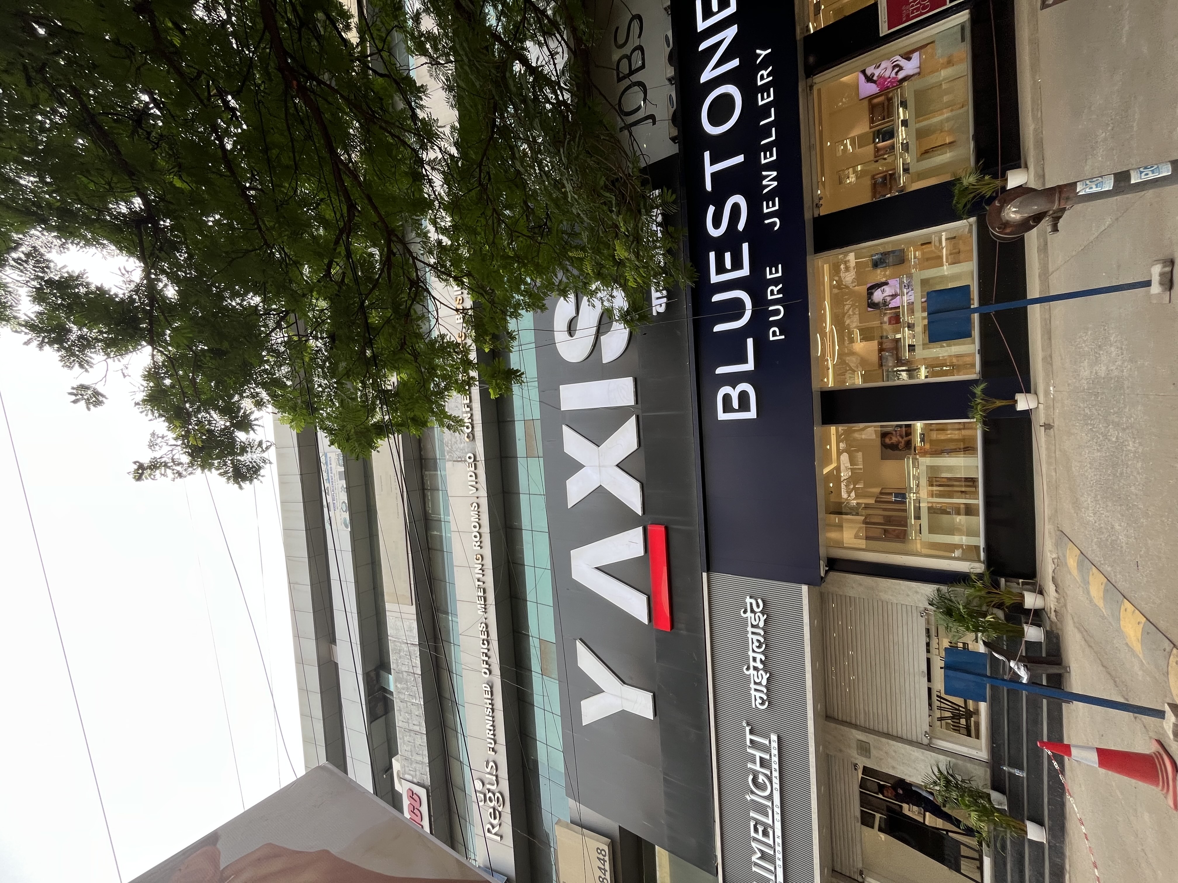 Y-Axis Y-Axis Gallery photo 1