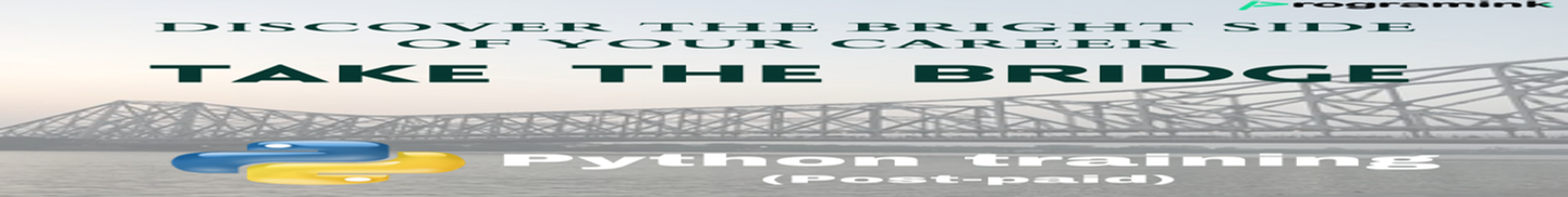 Programink.com