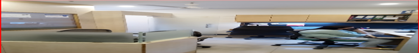 Skyline Visa & Travel Management Private Limited