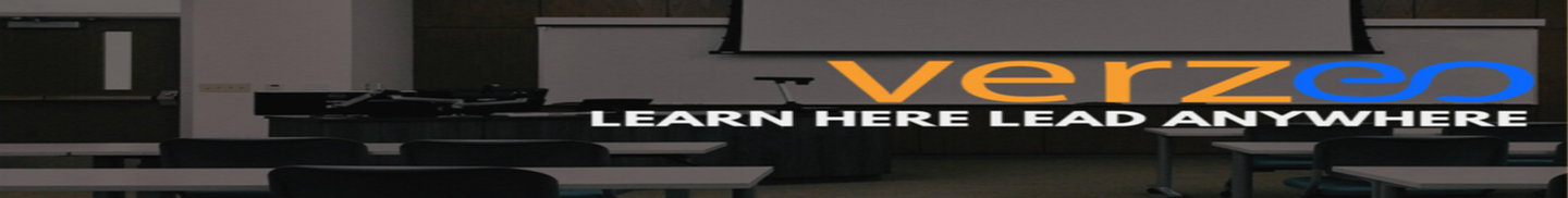 Verzeo Institute