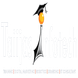 Taiijas Infotech Training and Consultancy, PHP, Android, Robotics, IoT, Digital marketing Classes