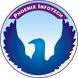Phoenix InfoTech