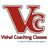 Vishal Coaching Classes