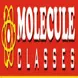 Molecule Classes Lucknow: Courses & Fees