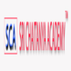 Sri Chaitanya Academy Dilsukhnagar