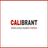 Calibrant Classes