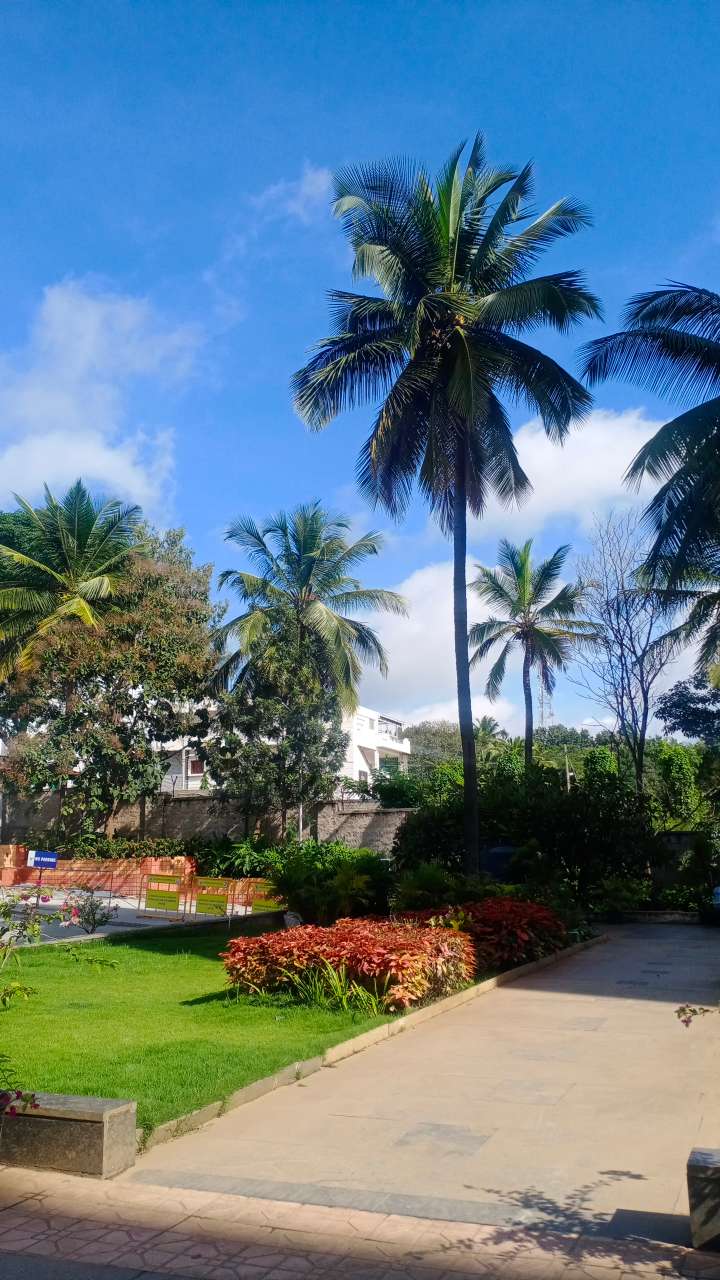 Dayananda Sagar Institutions Bangalore Campus photo (4) by anushka