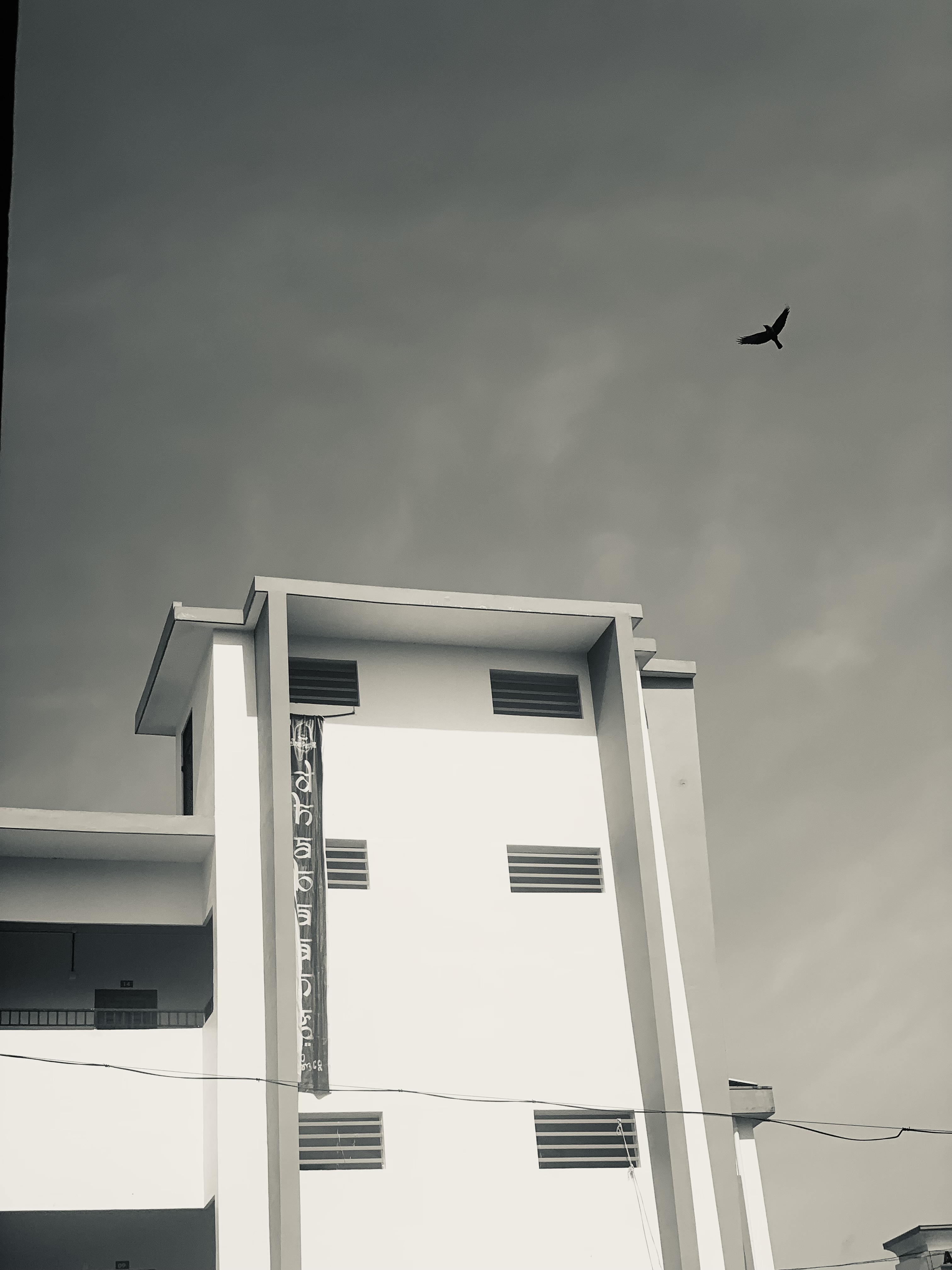 Calicut University Campus photo (20) by Mohammed Hashim CR