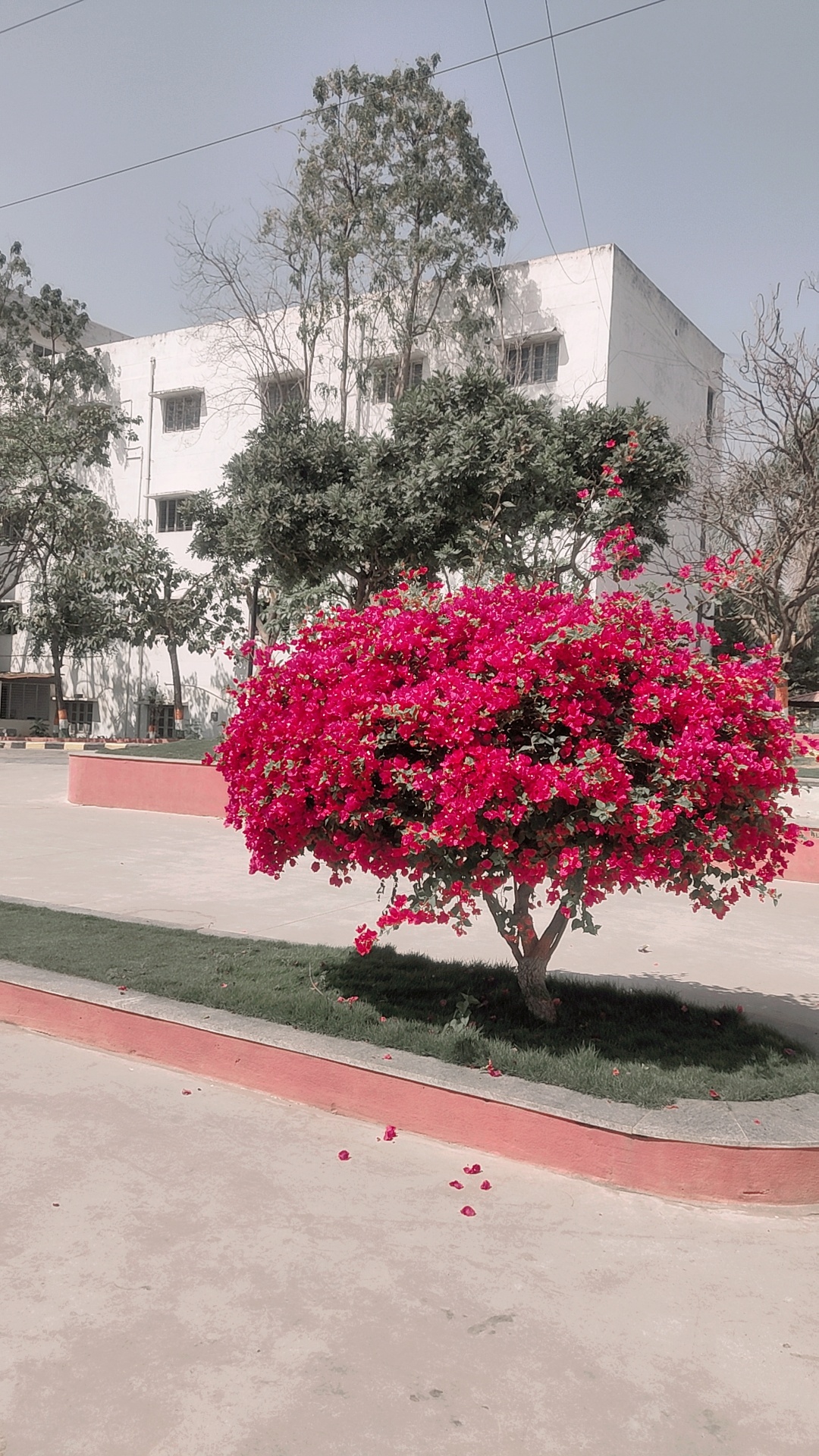 Anurag University Campus photo (3) by Masala Sudharani