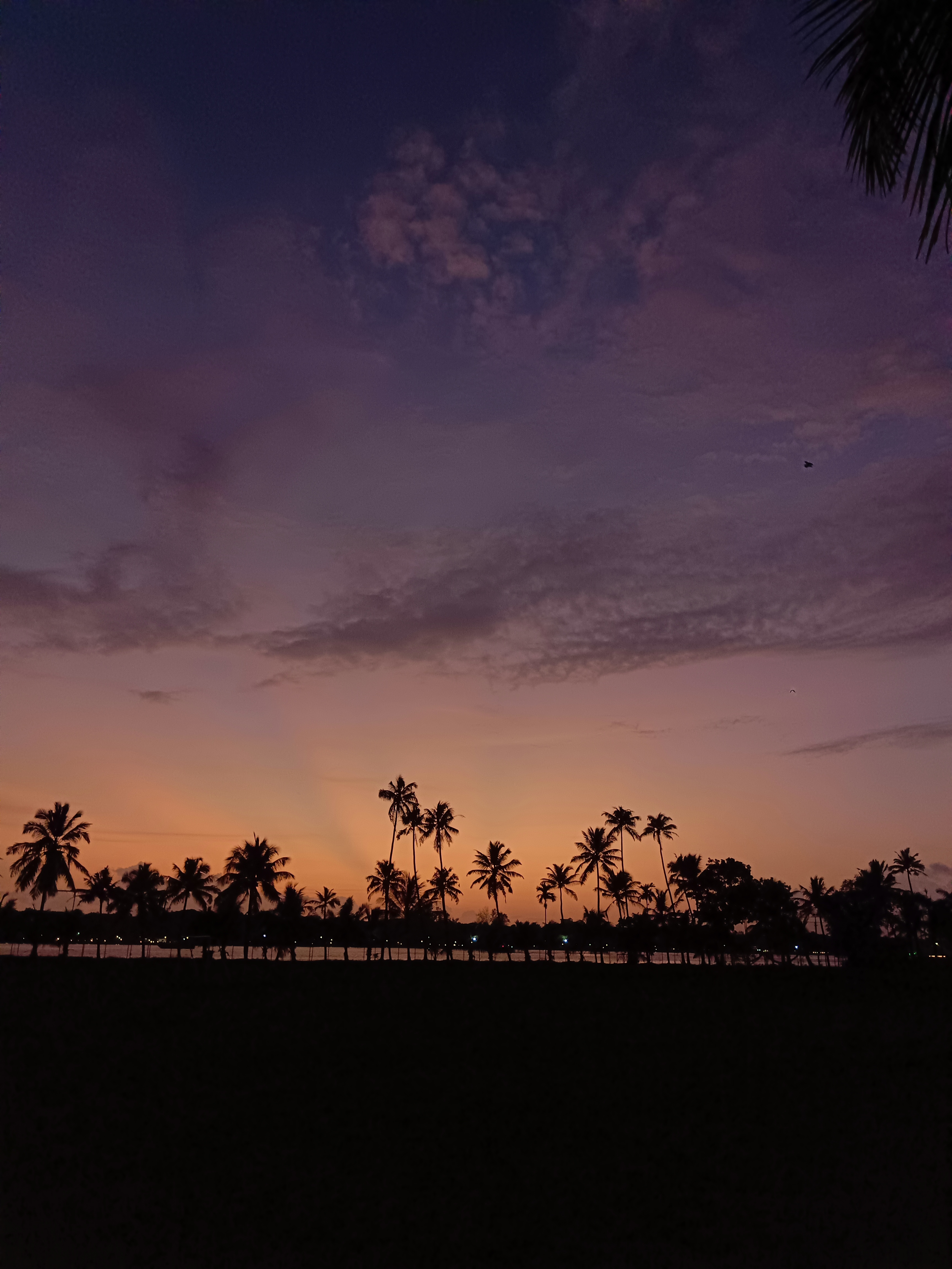 Sacred Heart College Ernakulam General photo (2) by Adithyan