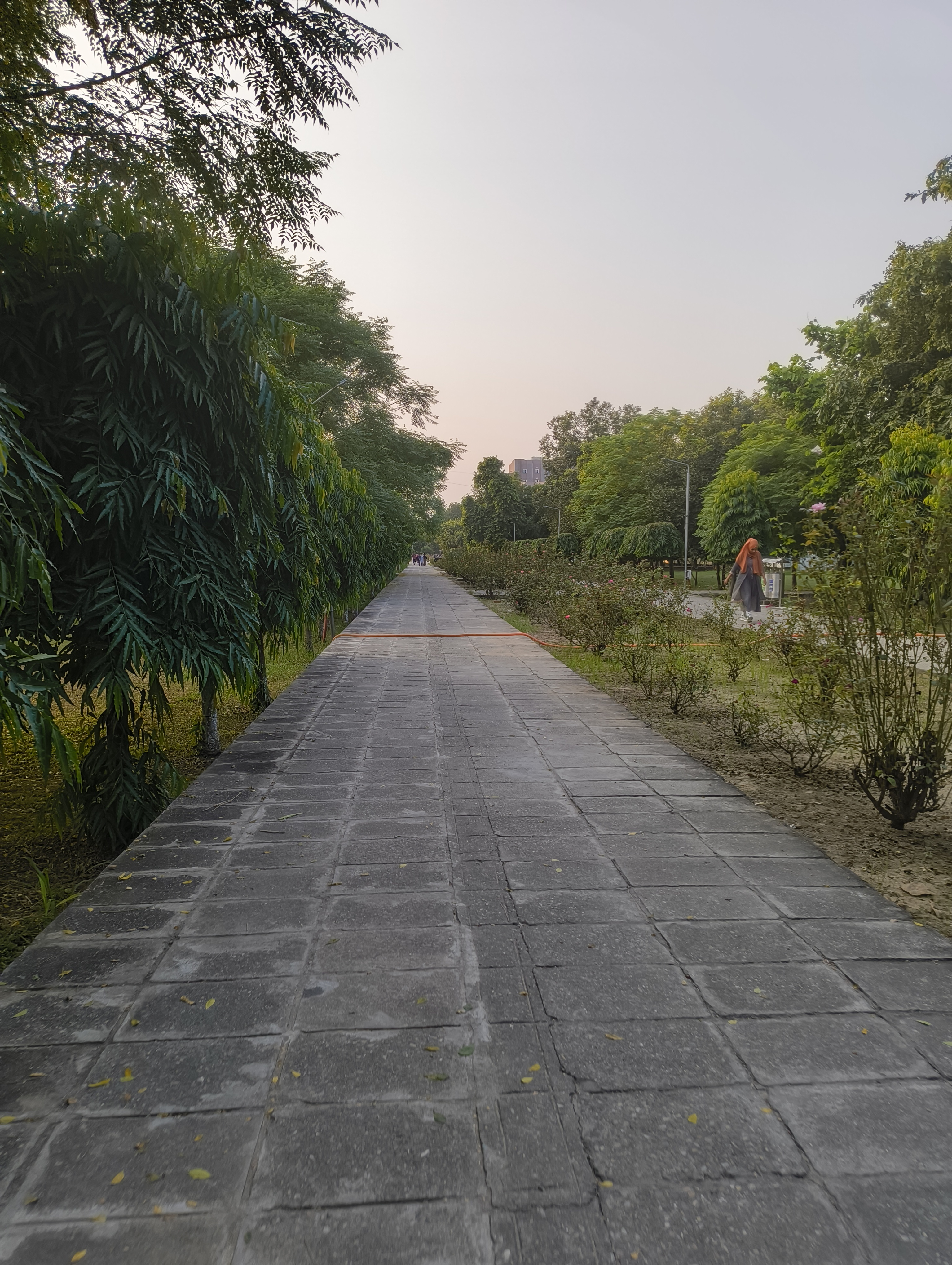 NIT Jalandhar Campus photo (3) by Armaan Sharma