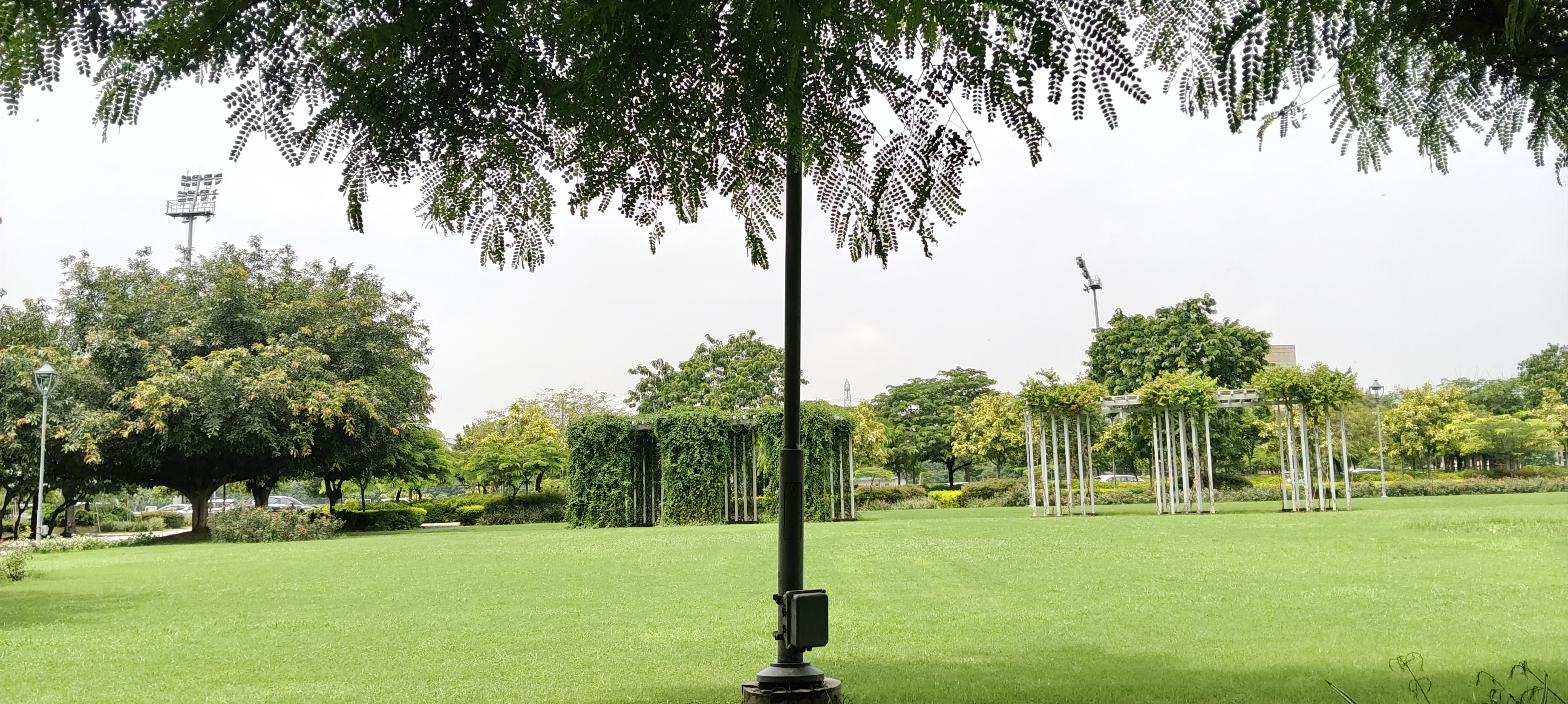 SNU Noida Campus photo (3) by Sarita Sharma