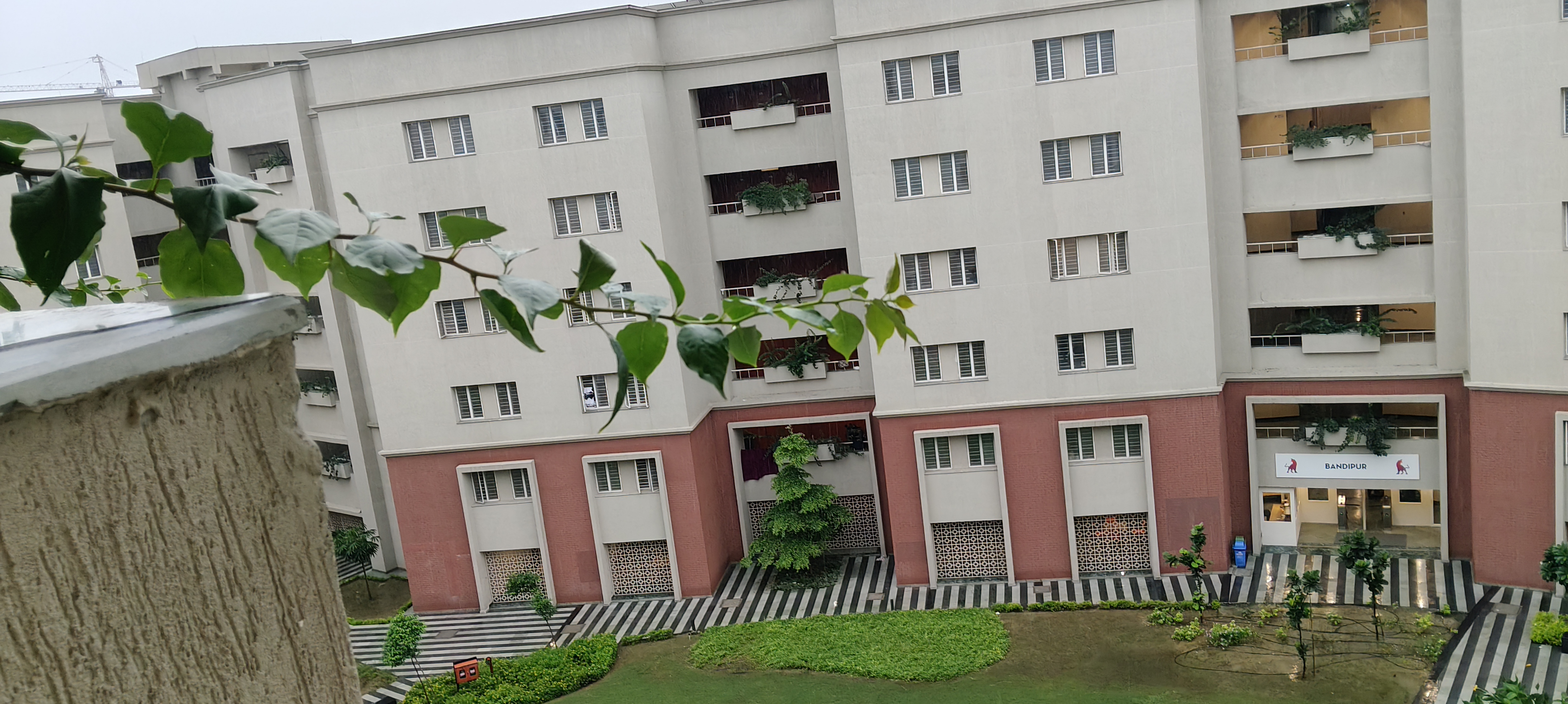 SNU Noida Campus photo (2) by Sarita Sharma