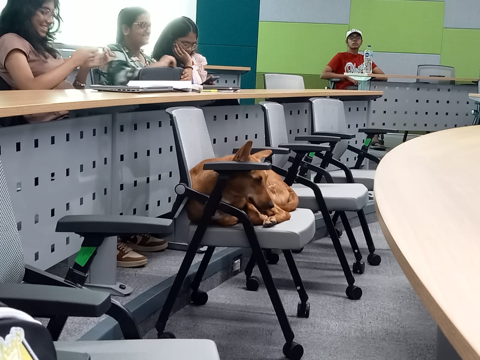 SNU Noida Campus photo (5) by Arman gautam