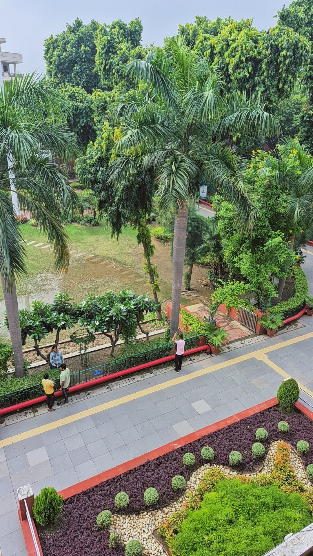 Hansraj College Events photo (18) by Tanishka gupta