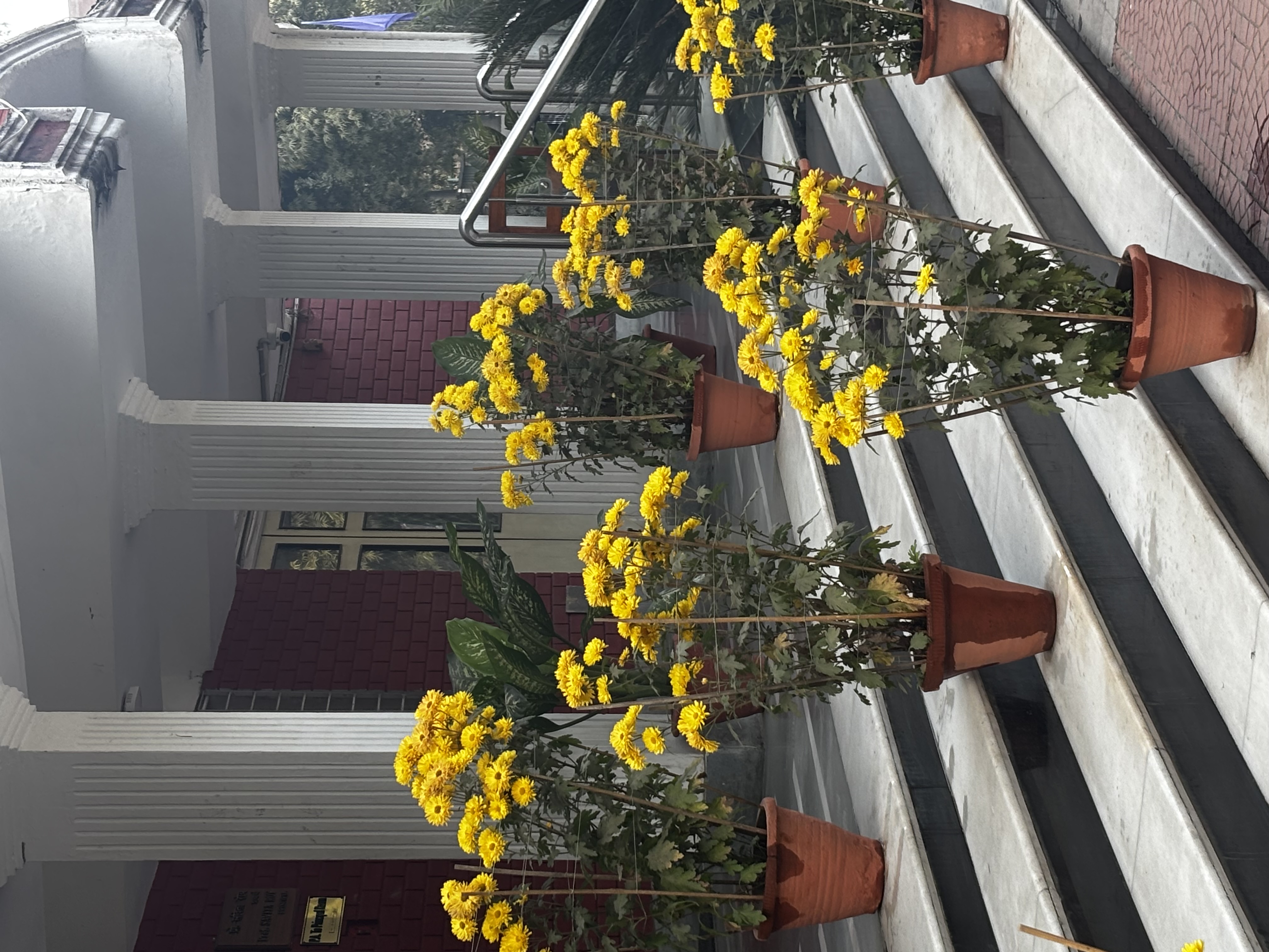 Daulat Ram College Campus photo (17) by VEDDA THANGJAM