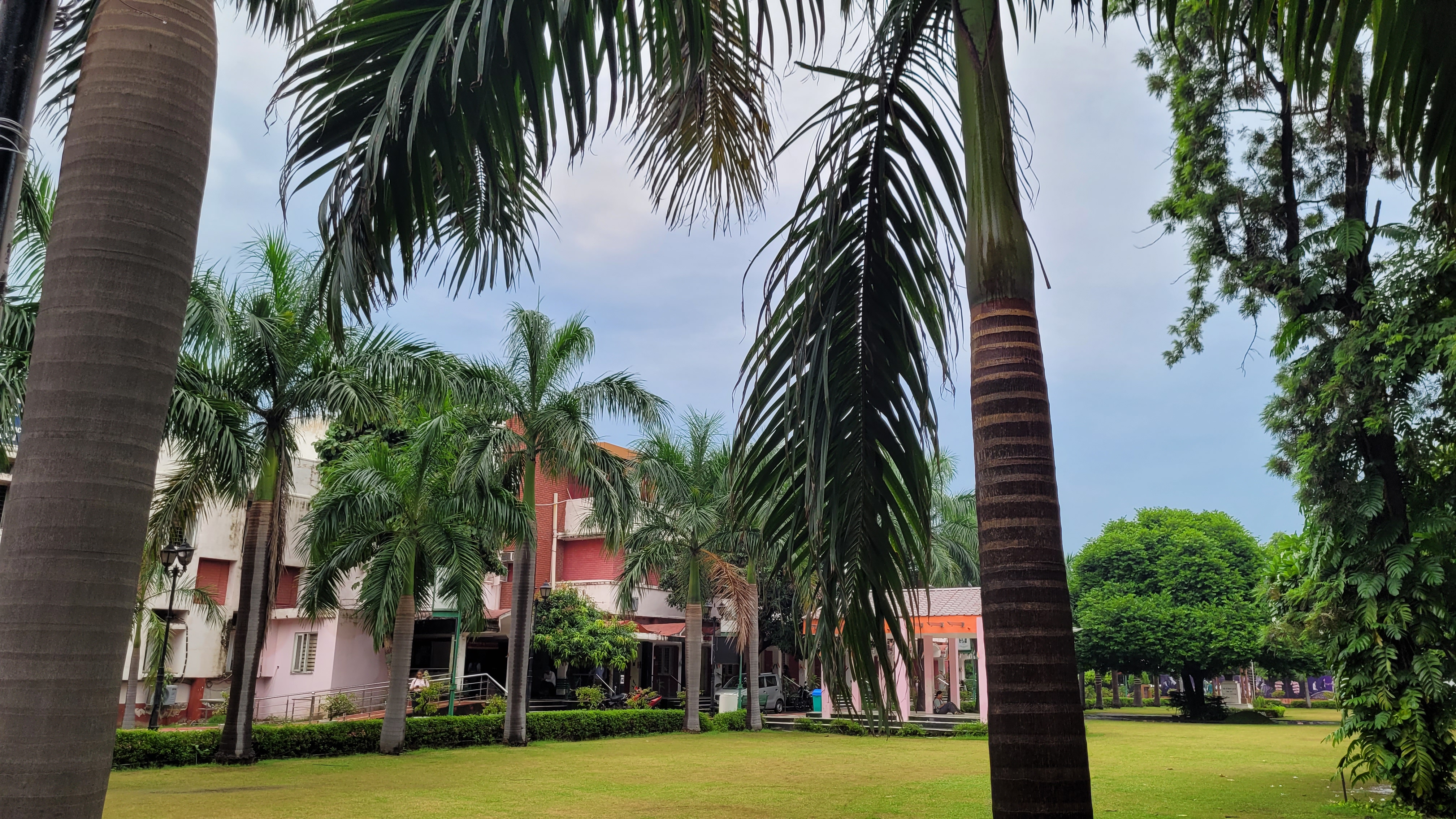 Daulat Ram College Campus photo (7) by MONSOON DUTTA