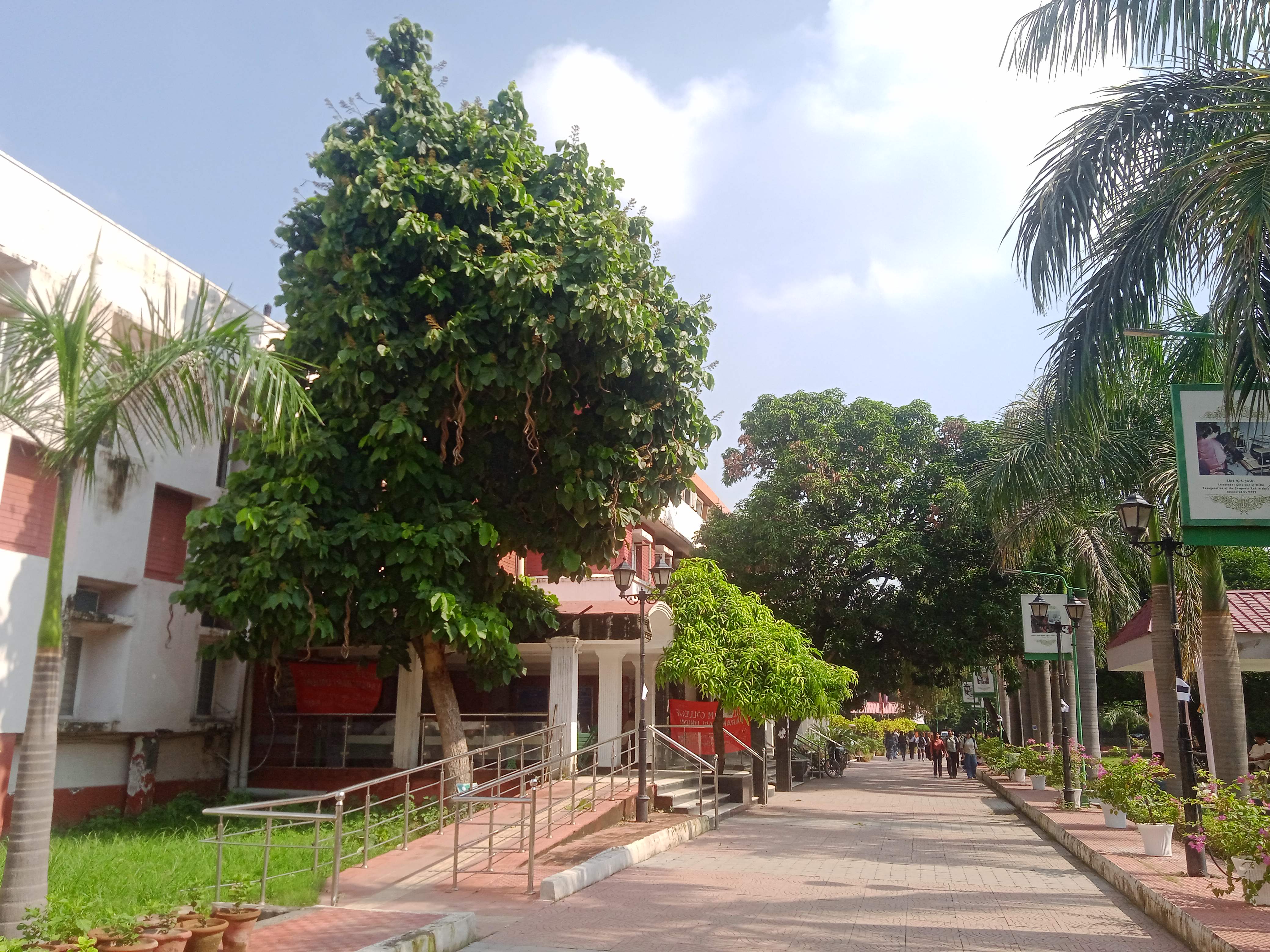 Daulat Ram College Campus photo (6) by CD Reshmi Chiru