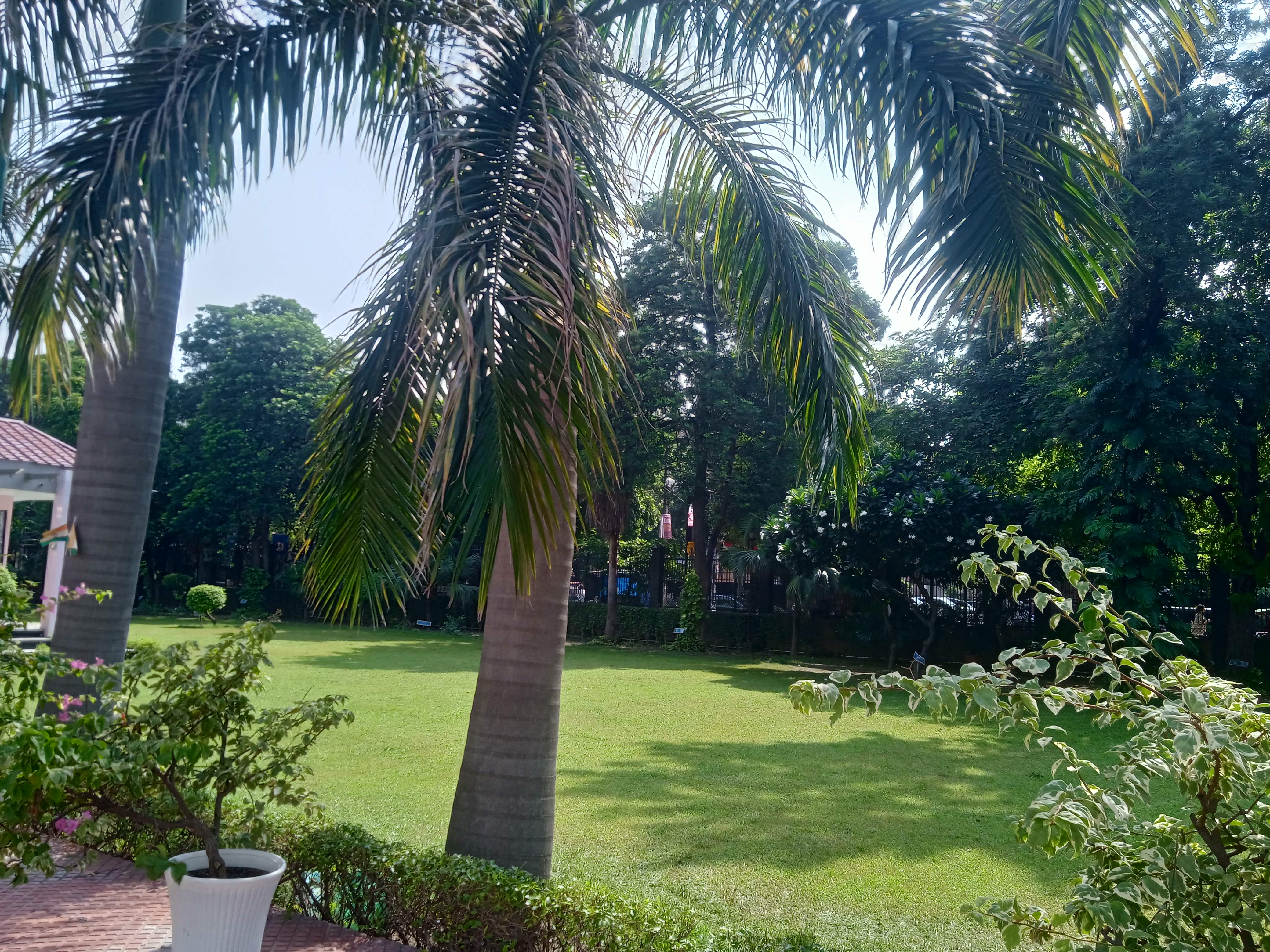 Daulat Ram College Campus photo (5) by CD Reshmi Chiru