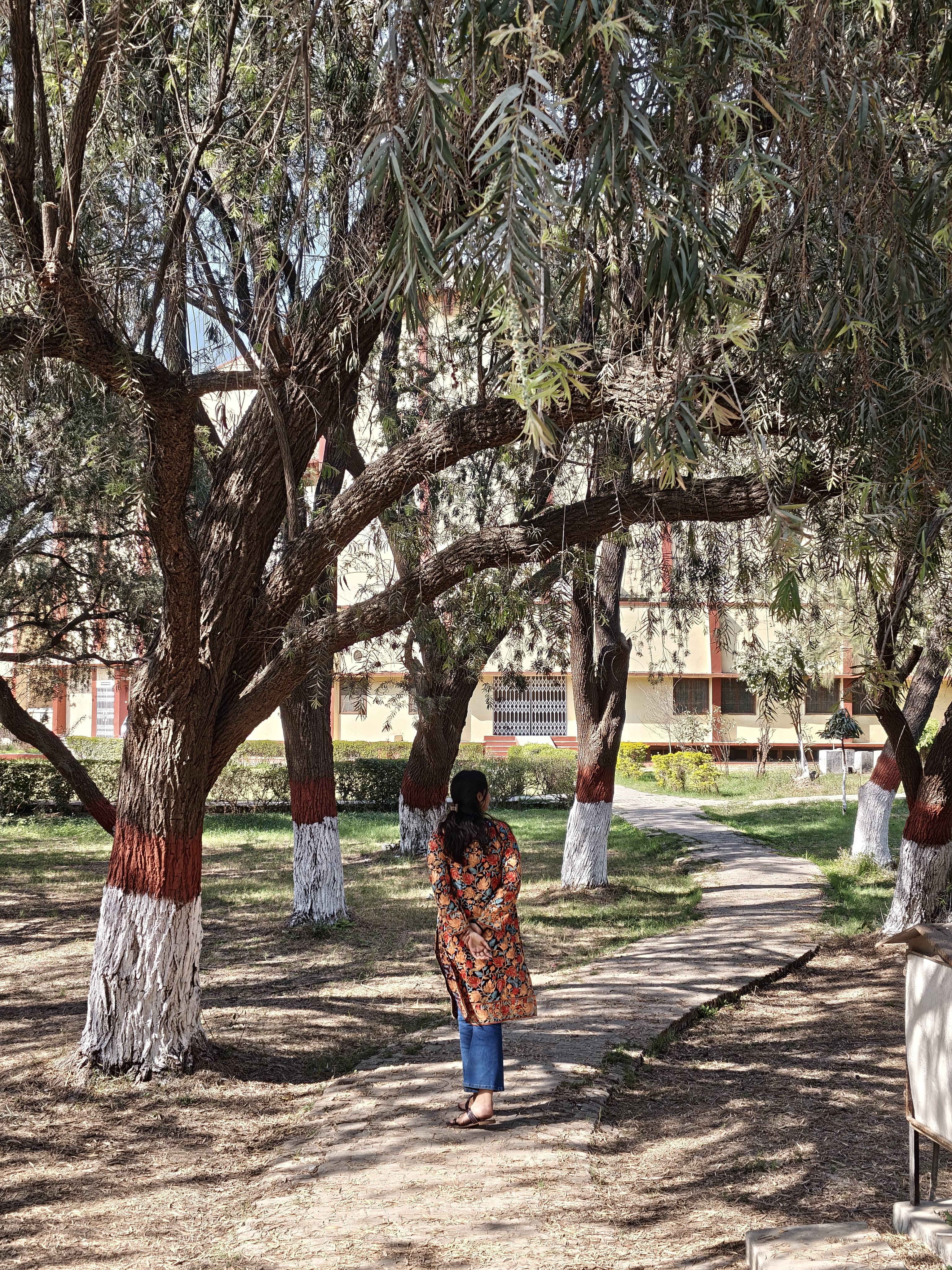 BHU Infrastructure & Academic Building photo (3) by Rishika Dwivedi
