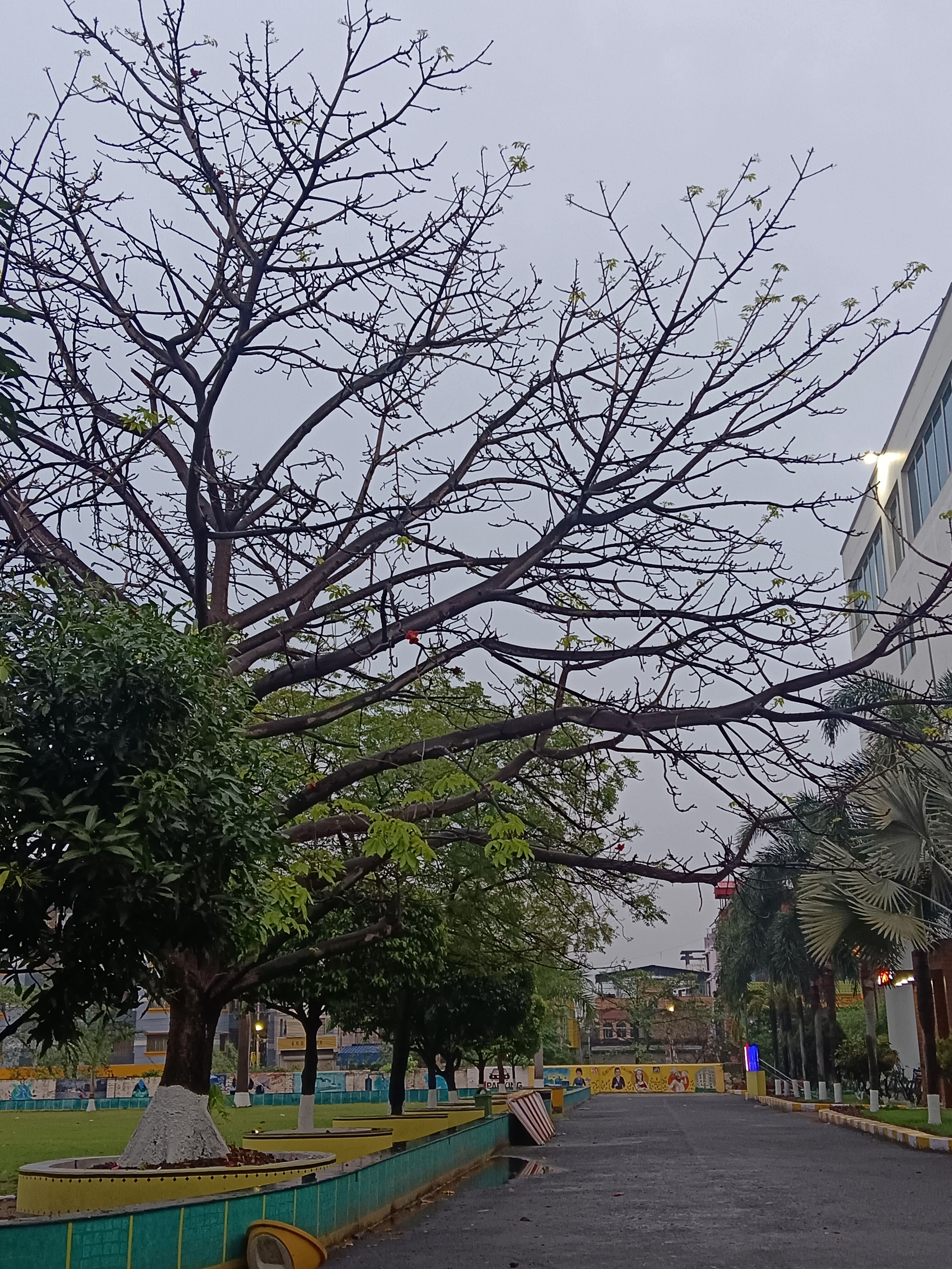 JIS University Campus photo (15) by Rohit Adhikary
