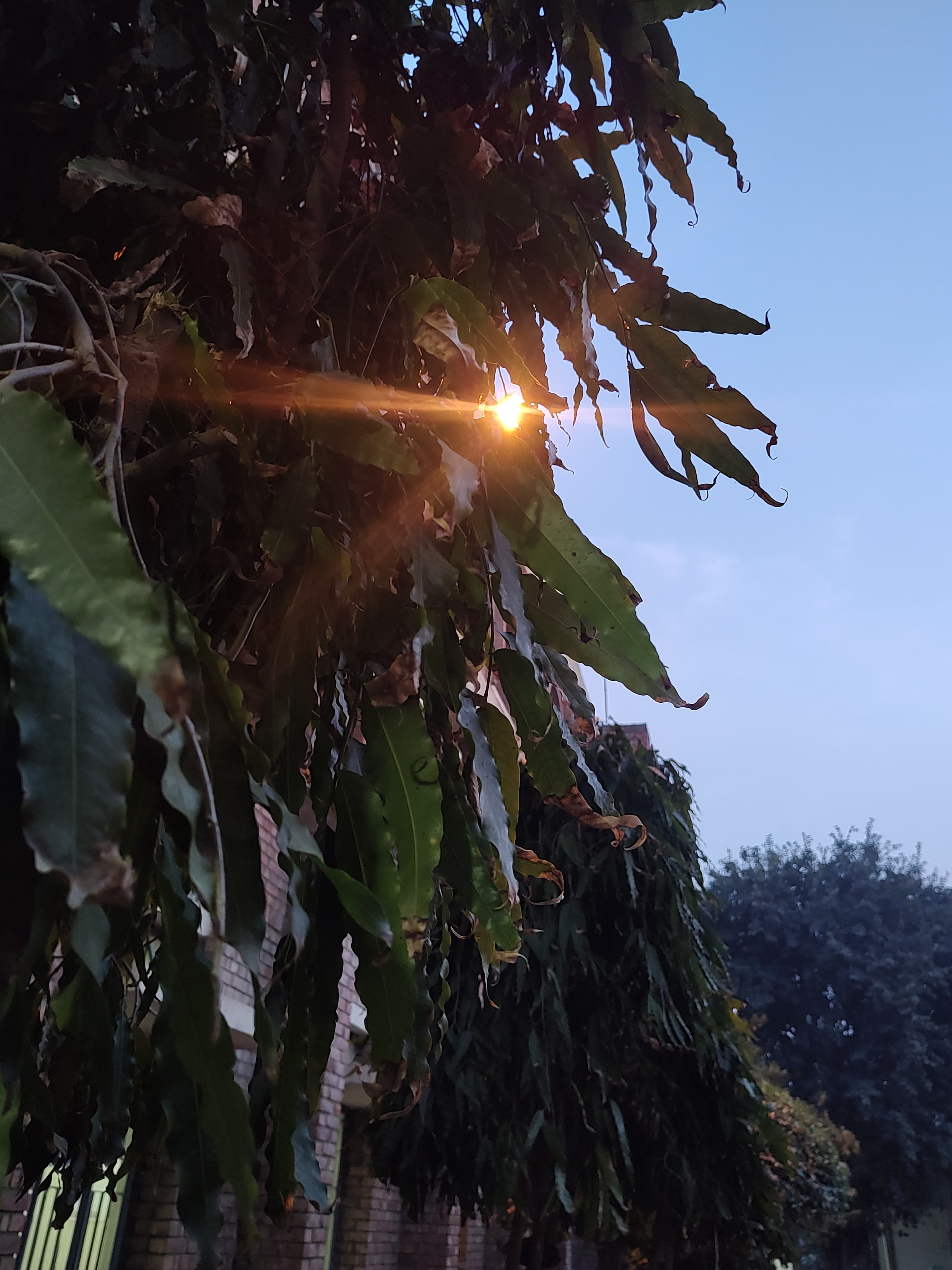 Bharati College Campus photo (12) by Satanshi Singh